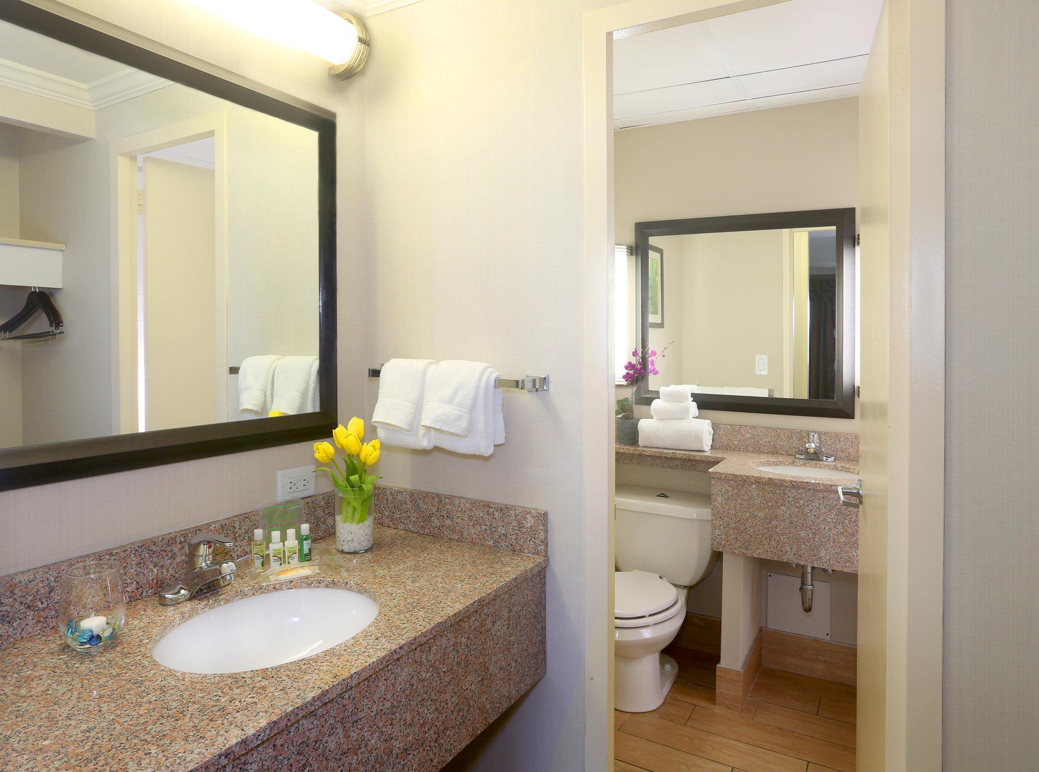 Holiday Inn Binghamton-Downtown Hawley Street By Ihg Ngoại thất bức ảnh